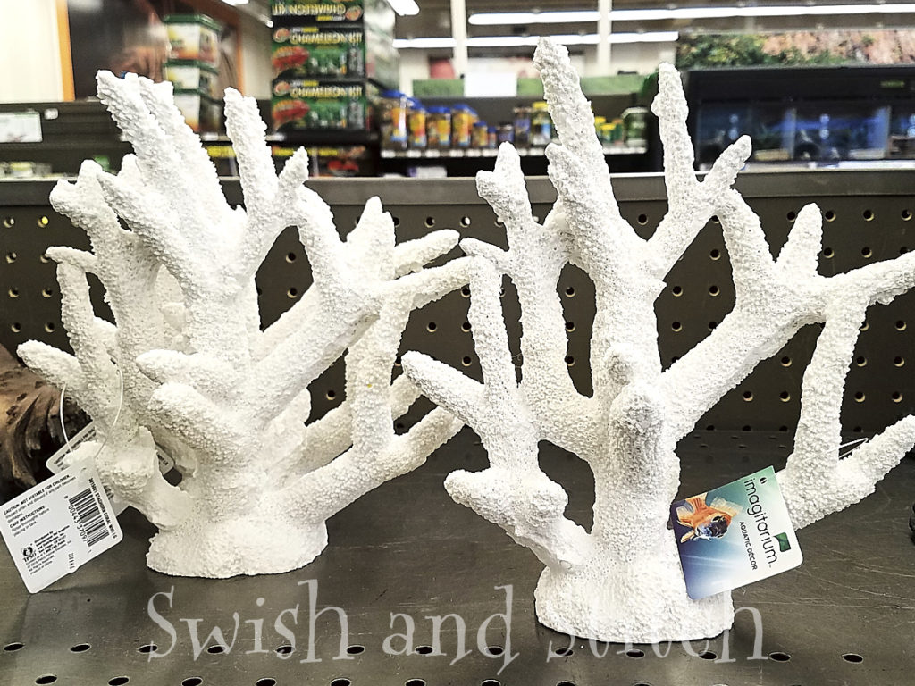 white coral