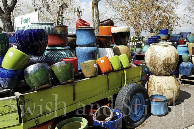 The Comprehensive Guide of Where to Buy Inexpensive Fairy Garden