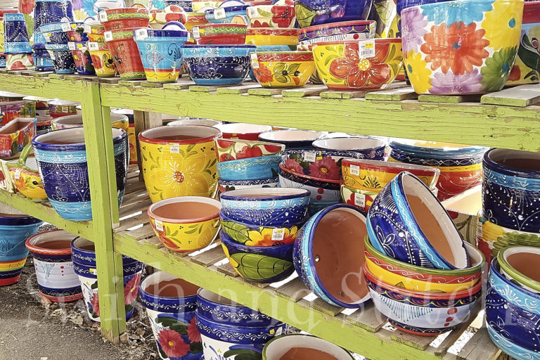 The Comprehensive Guide of Where to Buy Inexpensive Fairy Garden