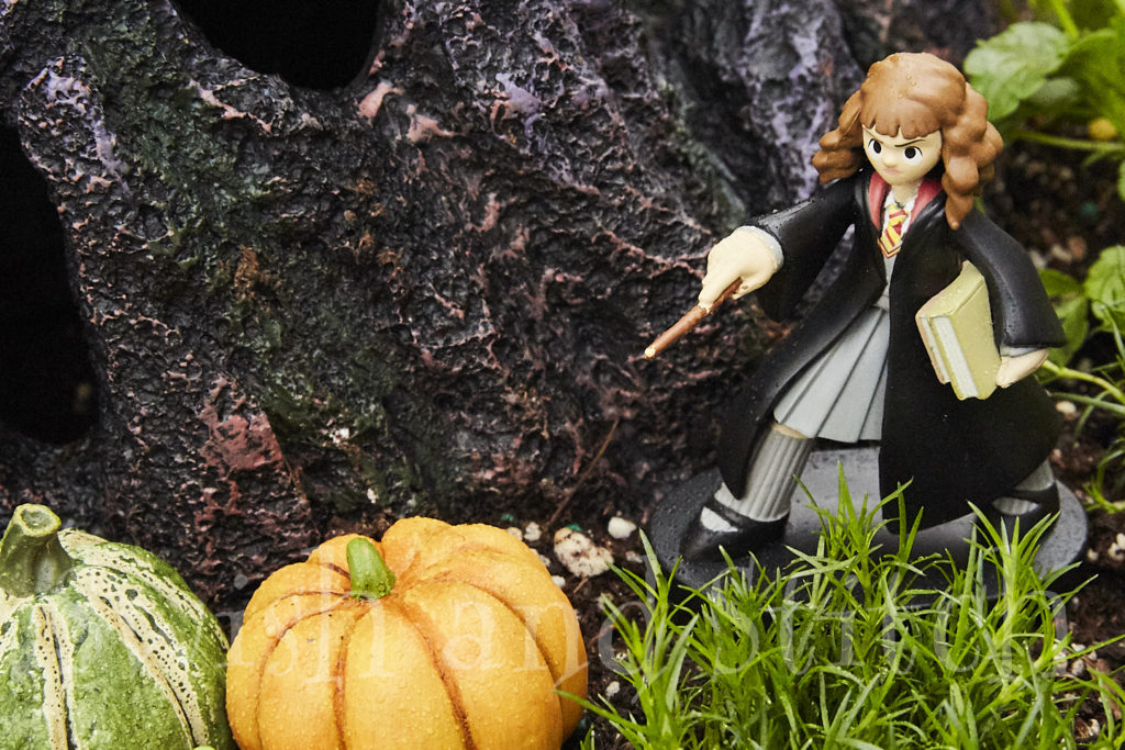 Hermione Granger in the Harry Potter Hogwarts Castle fairy garden