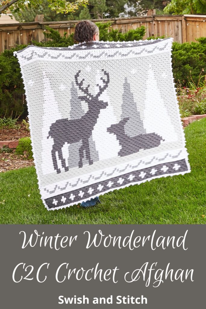 Winter Wonderland C2C Crochet Afghan - Pinterest Image