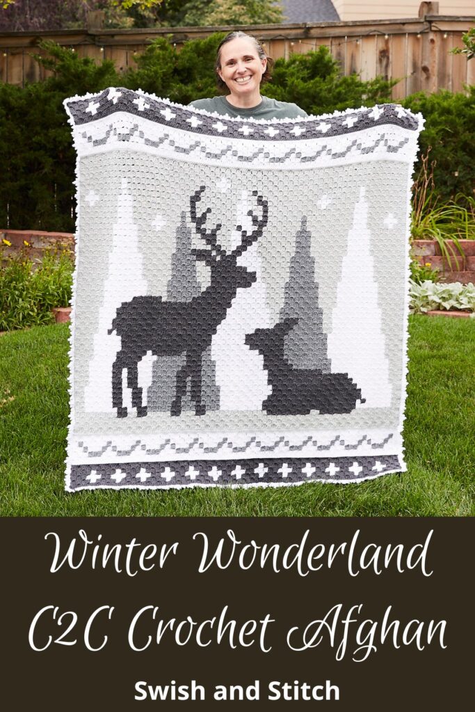 Winter Wonderland C2C Crochet Afghan - Pinterest Image