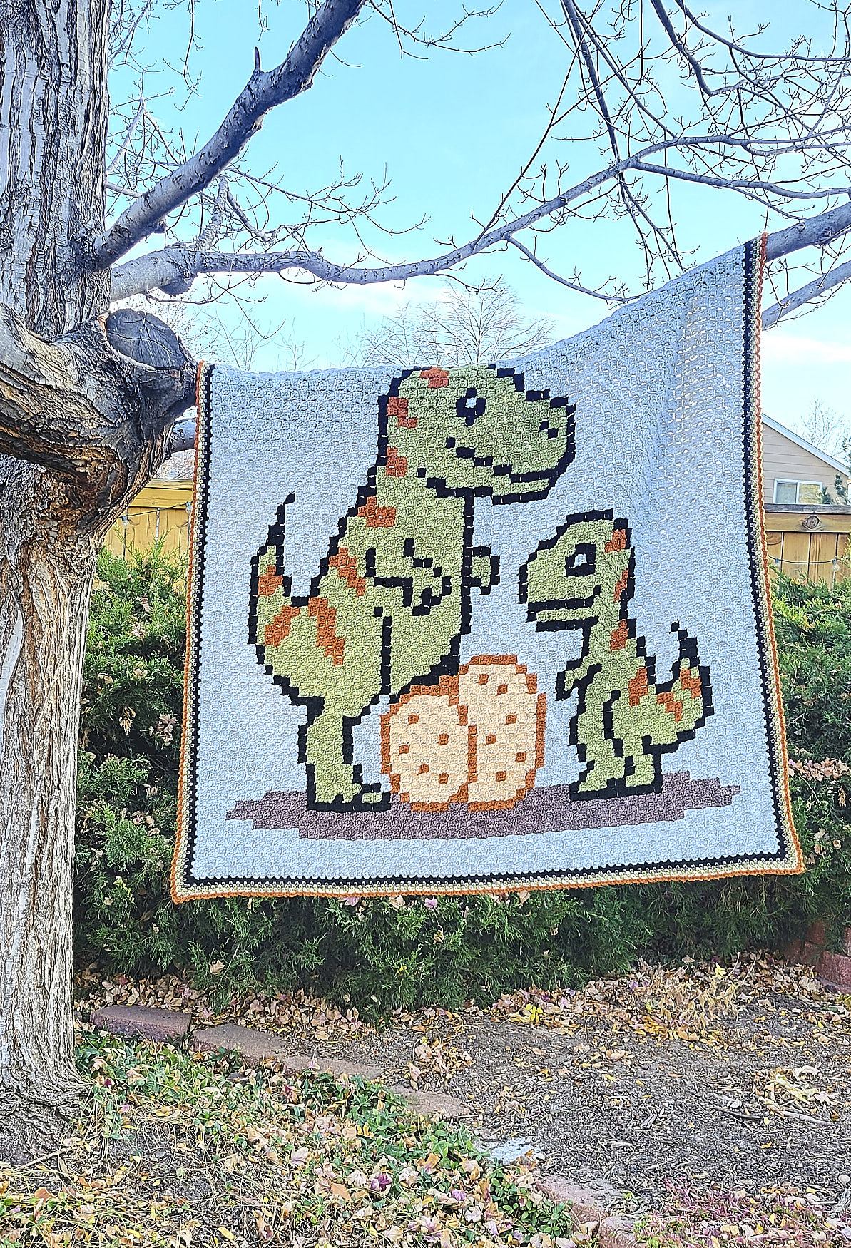 Dinor Family C2C Crochet Afghan in tree